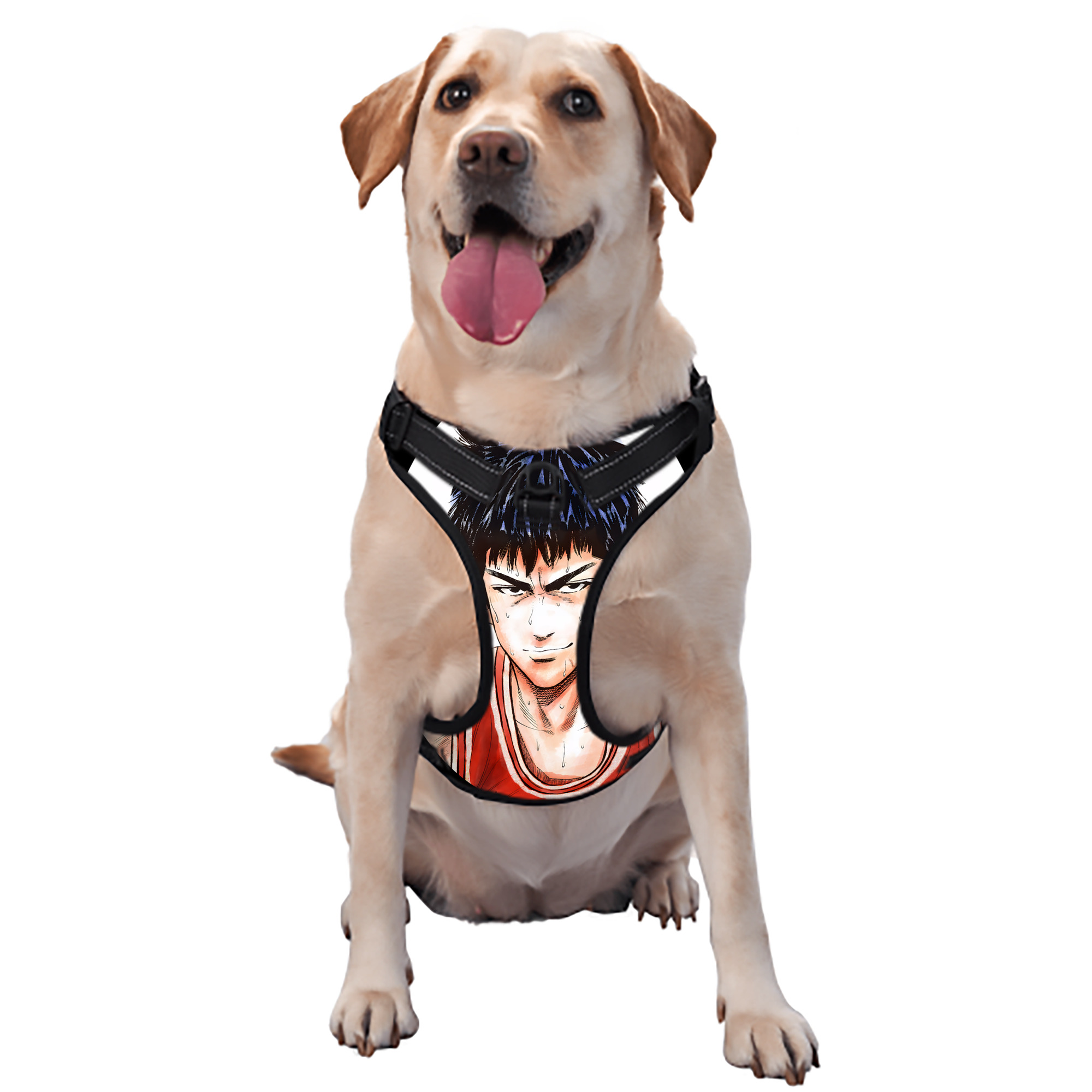 （画像用） SLAM DUNK／スラムダンク ペット用ハーネス
